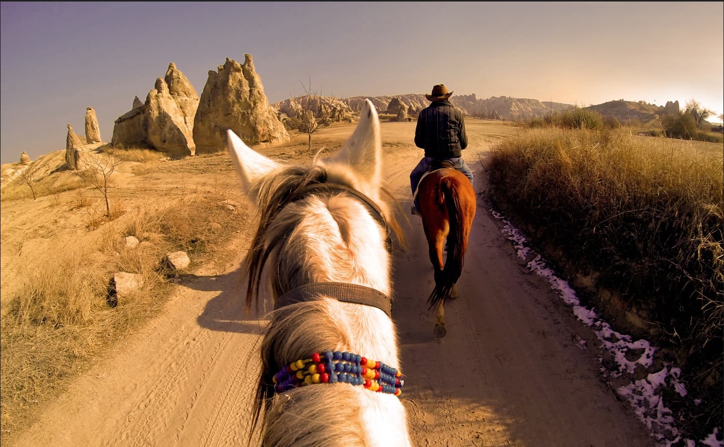 Reiten